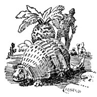 Иллюстрация к книге — Затерянный мир [_12.jpg]