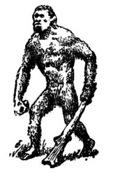 Иллюстрация к книге — Затерянный мир [_15.jpg]