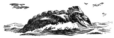 Иллюстрация к книге — Затерянный мир [_17.jpg]