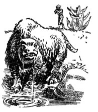 Иллюстрация к книге — Затерянный мир [_18.jpg]