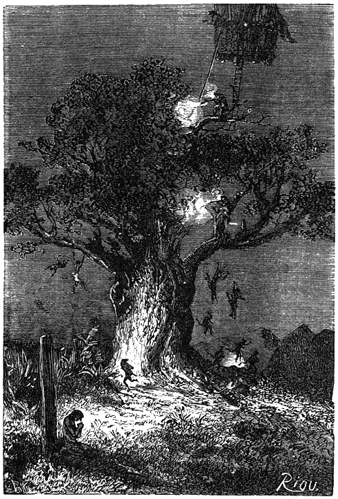 Иллюстрация к книге — Пять недель на воздушном шаре [p117.png]