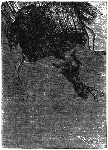 Иллюстрация к книге — Пять недель на воздушном шаре [p125.png]