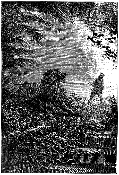 Иллюстрация к книге — Пять недель на воздушном шаре [p153.png]