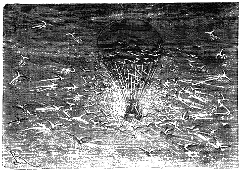 Иллюстрация к книге — Пять недель на воздушном шаре [p172.png]