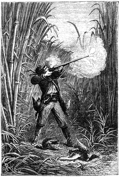 Иллюстрация к книге — Пять недель на воздушном шаре [p185.png]