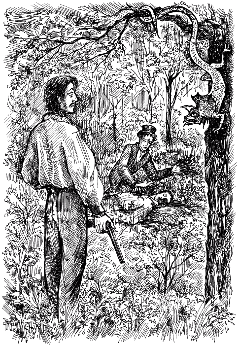 Иллюстрация к книге — Vive le basilic! [vivelebasilicch2.png]