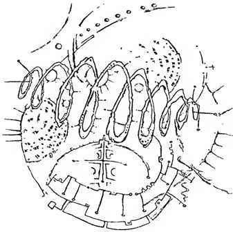 Иллюстрация к книге — Сновиденный практикум Равенны. Ступень 3 [i_004.jpg]