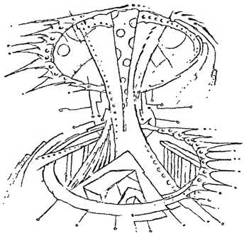 Иллюстрация к книге — Сновиденный практикум Равенны. Ступень 3 [i_005.jpg]