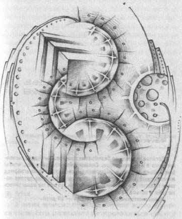Иллюстрация к книге — Сновиденный практикум Равенны. Ступень 4 [i_008.jpg]