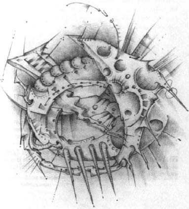 Иллюстрация к книге — Сновиденный практикум Равенны. Ступень 4 [i_012.jpg]