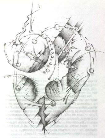 Иллюстрация к книге — Сновиденный практикум Равенны. Ступень 4 [i_014.jpg]