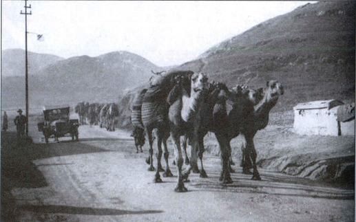 Иллюстрация к книге — В августе 1941 [i_007.jpg]