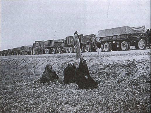 Иллюстрация к книге — В августе 1941 [i_035.jpg]