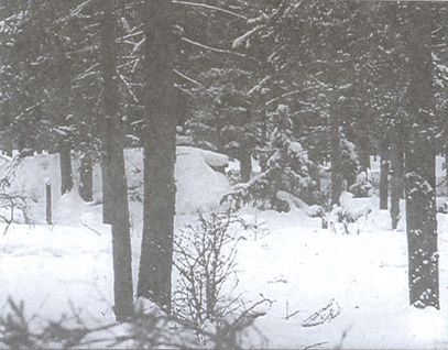 Иллюстрация к книге — Дважды невидимый фронт. Ленинградские чекисты в тылу врага [i_017.jpg]