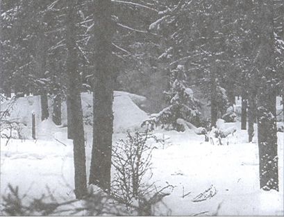 Иллюстрация к книге — Дважды невидимый фронт. Ленинградские чекисты в тылу врага [i_018.jpg]