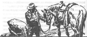 Иллюстрация к книге — Брат бури [image8.jpg]