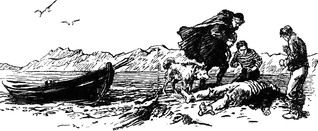 Иллюстрация к книге — Пятьсот миллионов бегумы. Найдёныш с погибшей «Цинтии» [i_017.png]