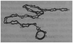 Иллюстрация к книге — Чернильная смерть [i_053.jpg]