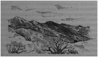 Иллюстрация к книге — Чернильная смерть [i_067.jpg]