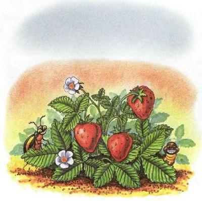 Иллюстрация к книге — Как подружились Пузик и Тузик [img_34.jpg]