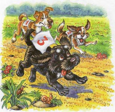 Иллюстрация к книге — Как Пузик и Тузик раскрыли заговор [img_12.jpg]