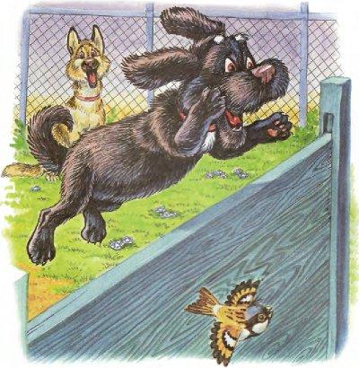 Иллюстрация к книге — Пузик и Тузик идут по следу [img_16.jpg]