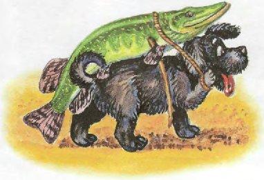 Иллюстрация к книге — Пузик и Тузик идут по следу [img_34.jpg]