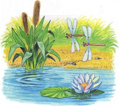 Иллюстрация к книге — Пузик и Тузик идут по следу [img_68.jpg]