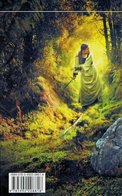 Иллюстрация к книге — Девятый [i_003.jpg]