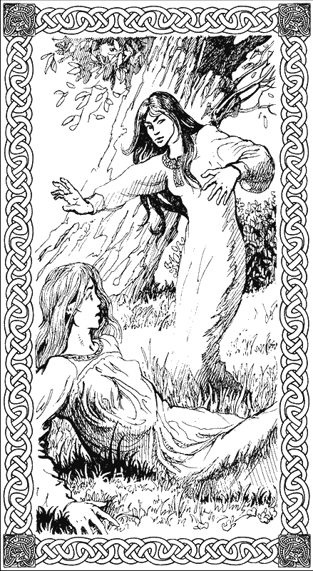 Иллюстрация к книге — Ночь богов. Гроза над полем [g2.png]