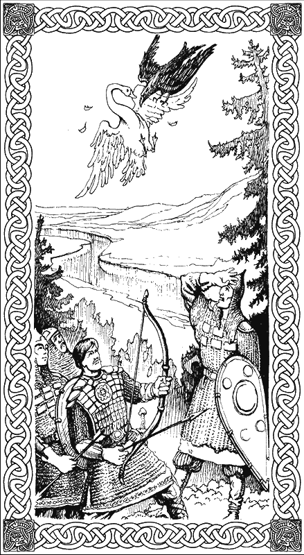 Иллюстрация к книге — Ночь богов. Гроза над полем [g5.png]