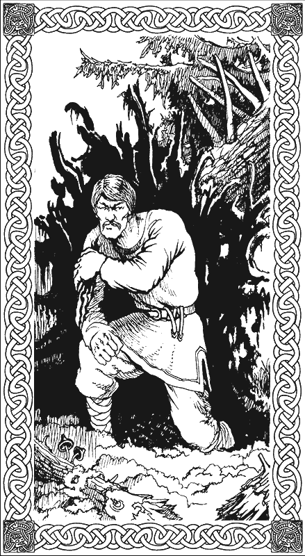 Иллюстрация к книге — Ночь богов. Гроза над полем [g6.png]