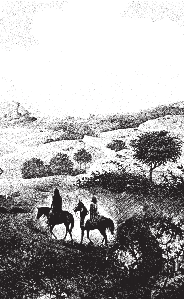 Иллюстрация к книге — Ведьма-аферистка [_1.png]