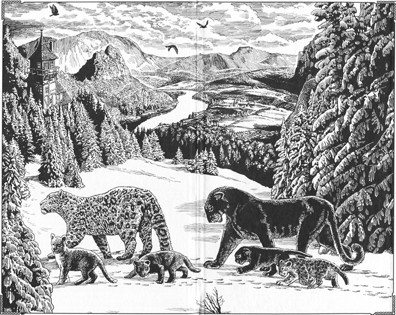 Иллюстрация к книге — Хроники Севера [i_003.jpg]