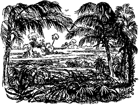 Иллюстрация к книге — Оцеола, вождь семинолов. Морской волчонок, или Путешествие на дне трюма [i_007.png]