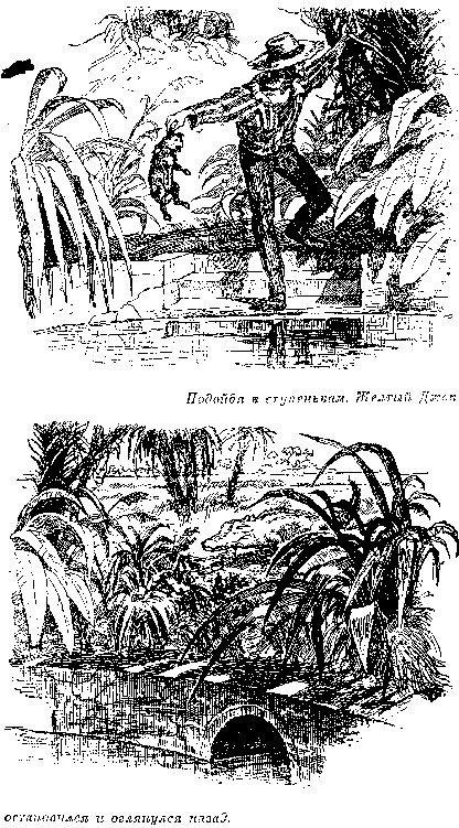 Иллюстрация к книге — Оцеола, вождь семинолов. Морской волчонок, или Путешествие на дне трюма [i_008.png]