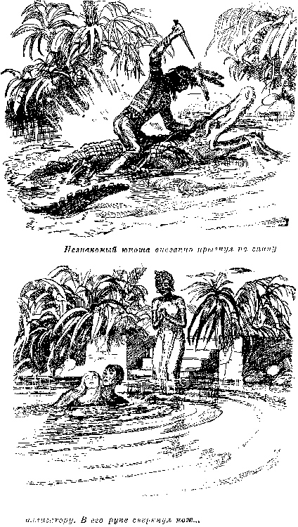 Иллюстрация к книге — Оцеола, вождь семинолов. Морской волчонок, или Путешествие на дне трюма [i_009.png]