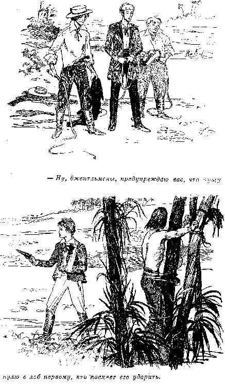 Иллюстрация к книге — Оцеола, вождь семинолов. Морской волчонок, или Путешествие на дне трюма [i_011.png]