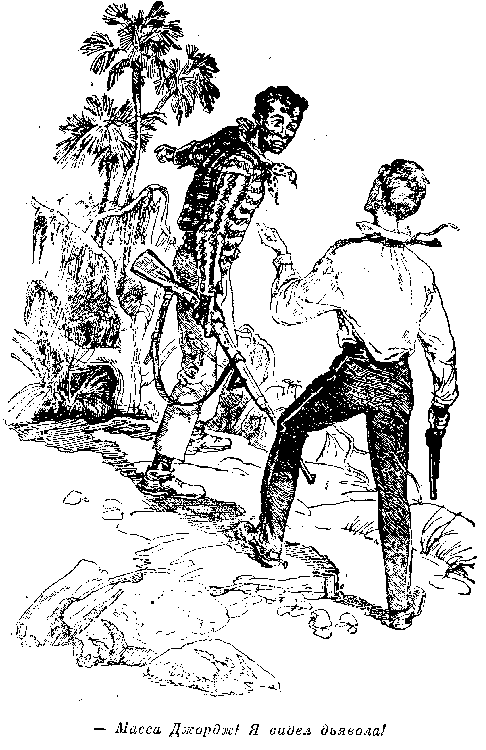 Иллюстрация к книге — Оцеола, вождь семинолов. Морской волчонок, или Путешествие на дне трюма [i_014.png]