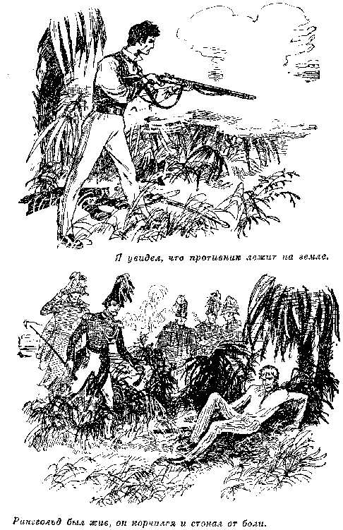 Иллюстрация к книге — Оцеола, вождь семинолов. Морской волчонок, или Путешествие на дне трюма [i_019.png]