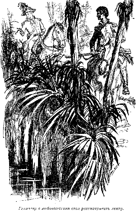 Иллюстрация к книге — Оцеола, вождь семинолов. Морской волчонок, или Путешествие на дне трюма [i_021.png]