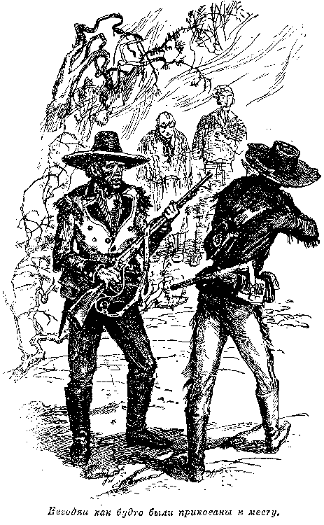 Иллюстрация к книге — Оцеола, вождь семинолов. Морской волчонок, или Путешествие на дне трюма [i_027.png]