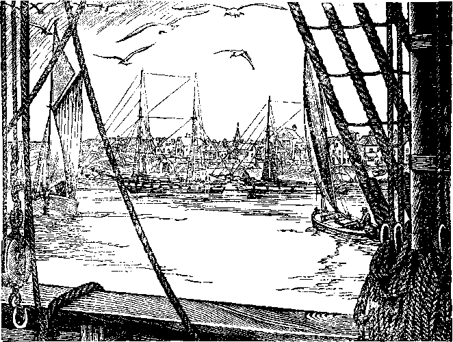 Иллюстрация к книге — Оцеола, вождь семинолов. Морской волчонок, или Путешествие на дне трюма [i_035.png]