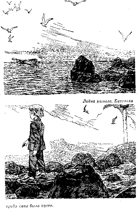 Иллюстрация к книге — Оцеола, вождь семинолов. Морской волчонок, или Путешествие на дне трюма [i_036.png]