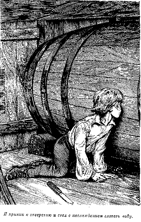 Иллюстрация к книге — Оцеола, вождь семинолов. Морской волчонок, или Путешествие на дне трюма [i_041.png]