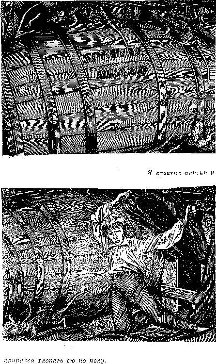 Иллюстрация к книге — Оцеола, вождь семинолов. Морской волчонок, или Путешествие на дне трюма [i_045.png]