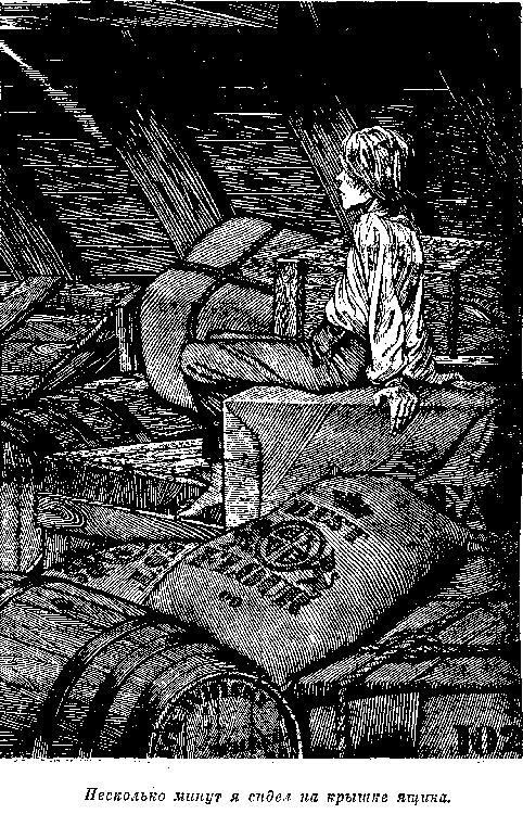 Иллюстрация к книге — Оцеола, вождь семинолов. Морской волчонок, или Путешествие на дне трюма [i_055.png]