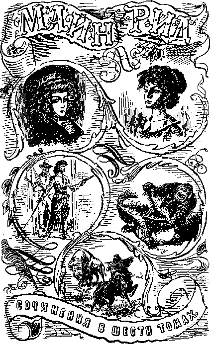 Иллюстрация к книге — Белая перчатка. В дебрях Борнео. В поисках белого бизона [i_002.png]