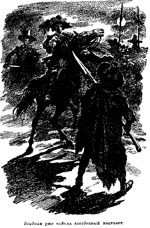 Иллюстрация к книге — Белая перчатка. В дебрях Борнео. В поисках белого бизона [i_009.png]