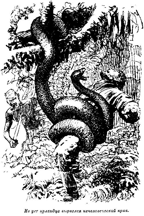 Иллюстрация к книге — Белая перчатка. В дебрях Борнео. В поисках белого бизона [i_031.png]